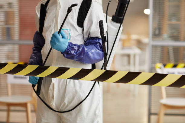 Professional Sewage Cleanup technician working in Garden City, MI